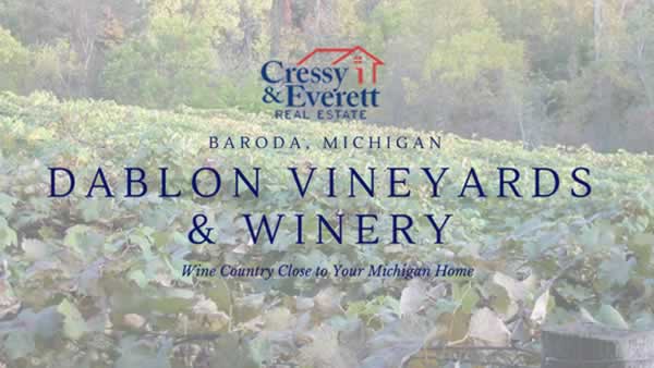 Baroda Michigan Dablon Vineyards